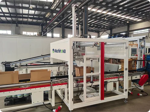 Top Load Case Packers